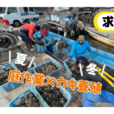 【庭作業×カキ養殖の求人】自然と向き合う島ならではの複業。株式会社佐渡活