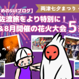 夏の佐渡旅をより特別に！7月＆8月開催の花火大会5選