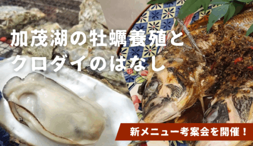 【新メニュー考案会】加茂湖の牡蠣養殖とクロダイのはなし